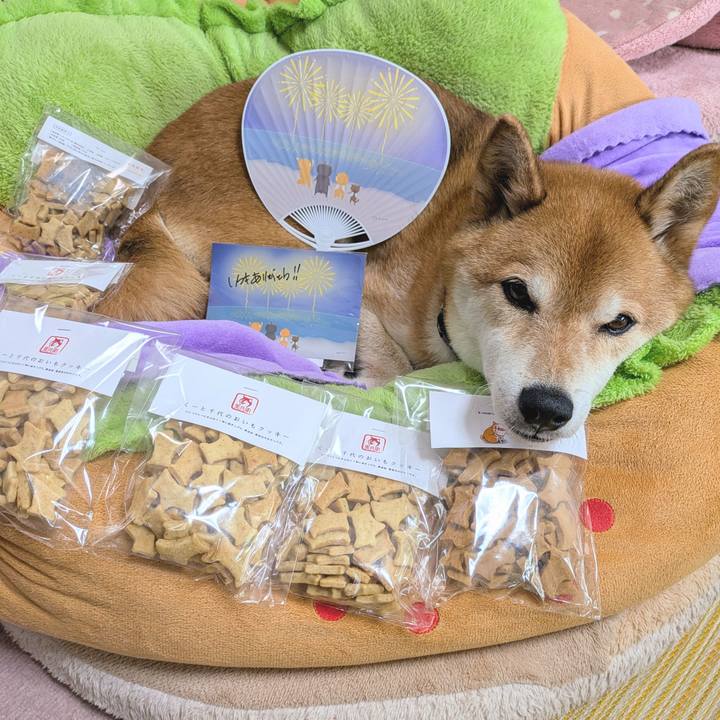 B5c5fcdf dfdc 4c87 ad2b ecfc4c09a7fe 1752906750241