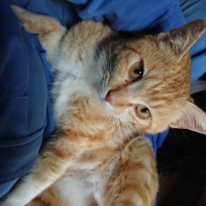 B5c600d8 ed1d 4b4c a640 79e6c6367a64 1556424163601