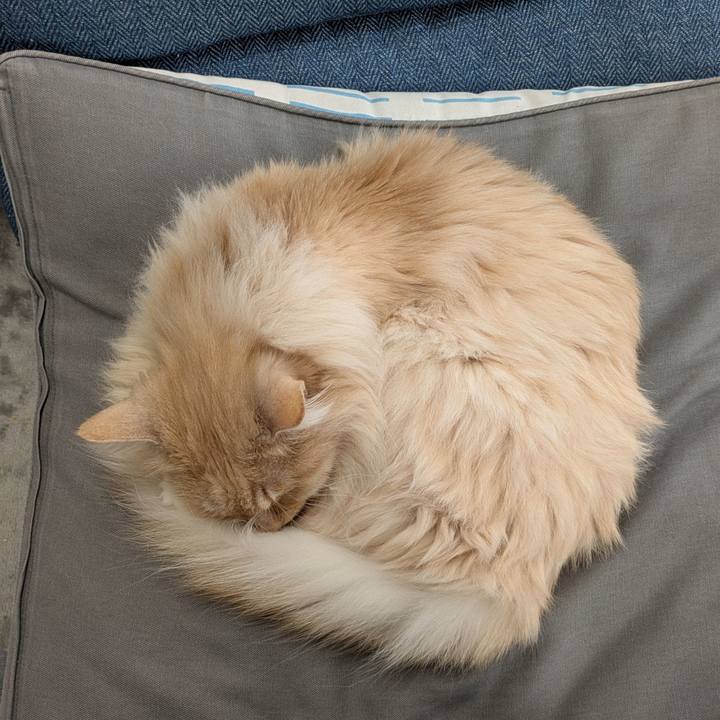 B5c6213f df97 4020 91db 2cfaee43a634 1743305387942