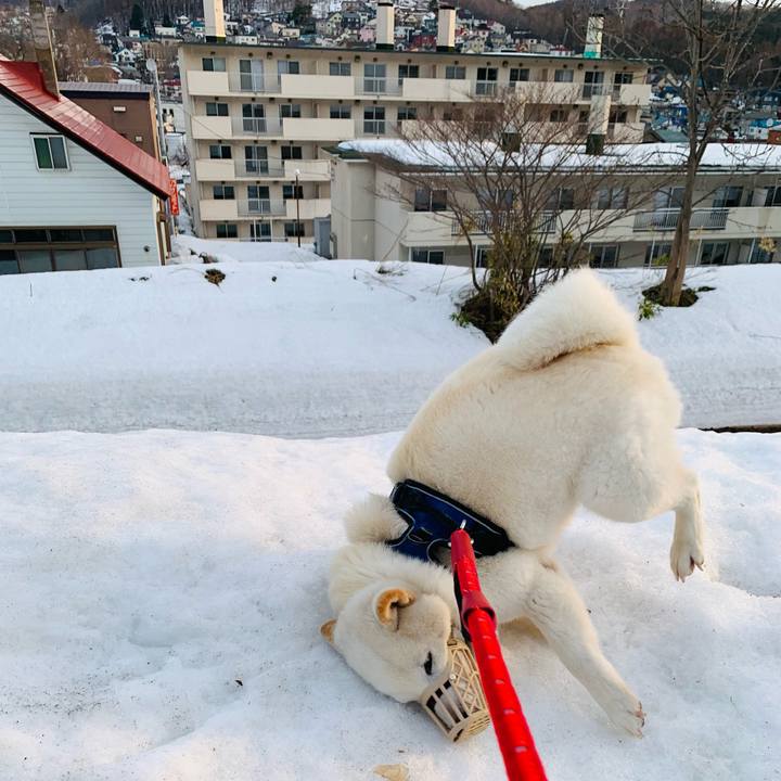 B5c6cded 6179 4a92 8ab3 8647cef722ca 1648589968828