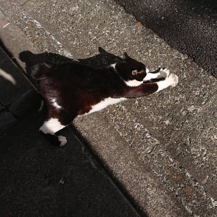 B5c6d45f 21bf 46a5 9eac e15649e7e9b0 1613533126066