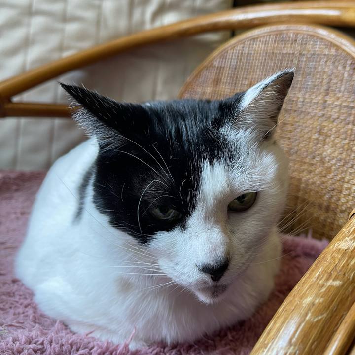 B5c6e6a7 dca9 46eb bed1 a46ec0ab6458 1770076444921