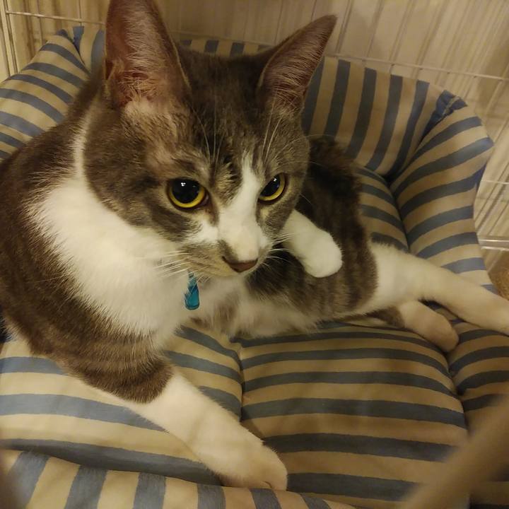 B5c6f17f 3664 4f30 8edd 9f379ba38a38 1588262138111