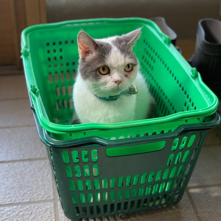 B5c700a9 fd78 4d26 854c 6f34ec453f73 1654299092019