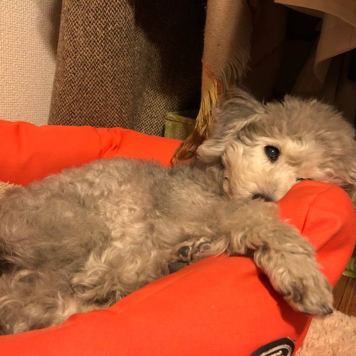 B5c751ed 2adf 4d97 a1ec 6ae8026fec33 1549806148065