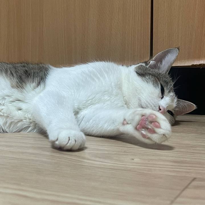 B5c7e426 075a 494a 8a91 e86ea715c146 1624528389839