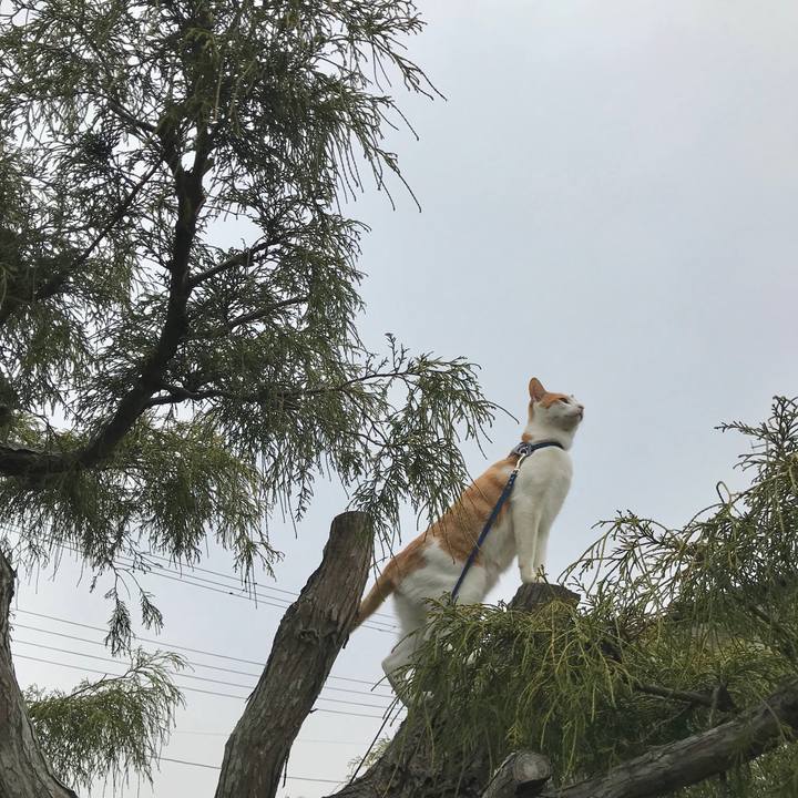 B5c7f98e 3d0f 48e9 b4e1 03dde5c10470 1522547833228