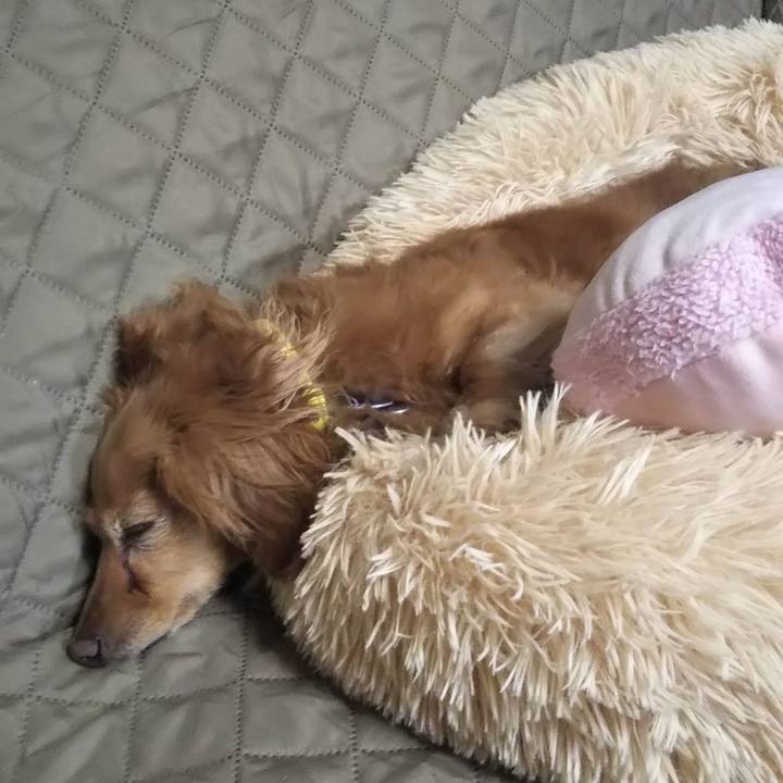 B5c7faf1 350b 4b30 8360 ad3d90f8fa4f 1617890076898