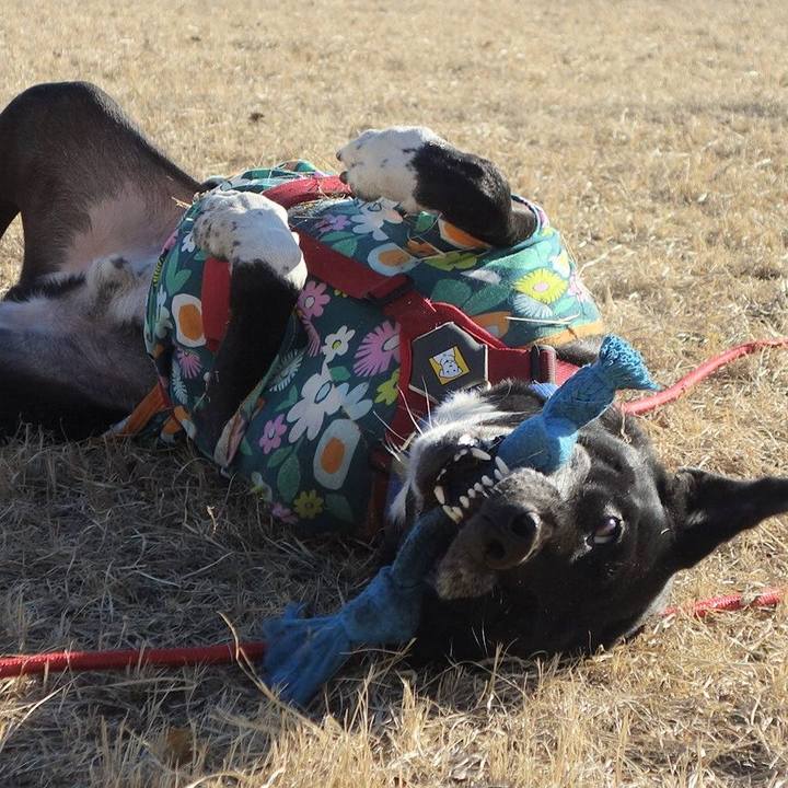 B5c7fe18 ca4c 443f a2d7 547fea8b75c7 1677463048506