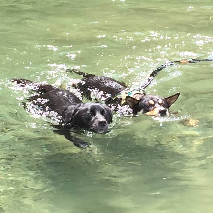 B5c841c9 4f20 4767 980c 72863334c22d 1534249909397