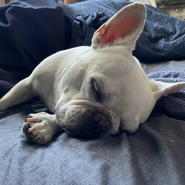 B5c85fc6 acc1 4e75 81a9 50169e0c977e 1751610972170