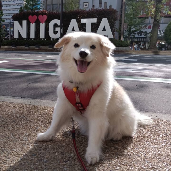 B5c8627a ea63 4b16 ad2a 5fe9f4065fc0 1702956203858