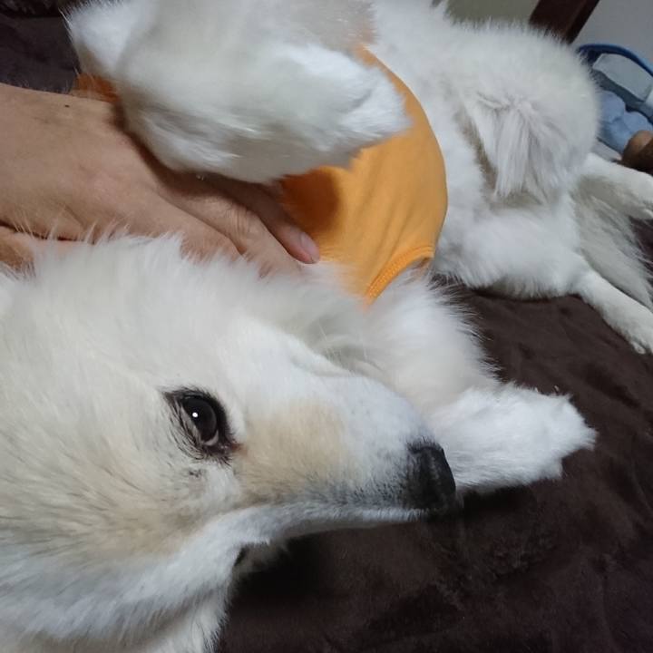 B5c88075 01f5 4924 8cca f9d012efd37b 1525639667622