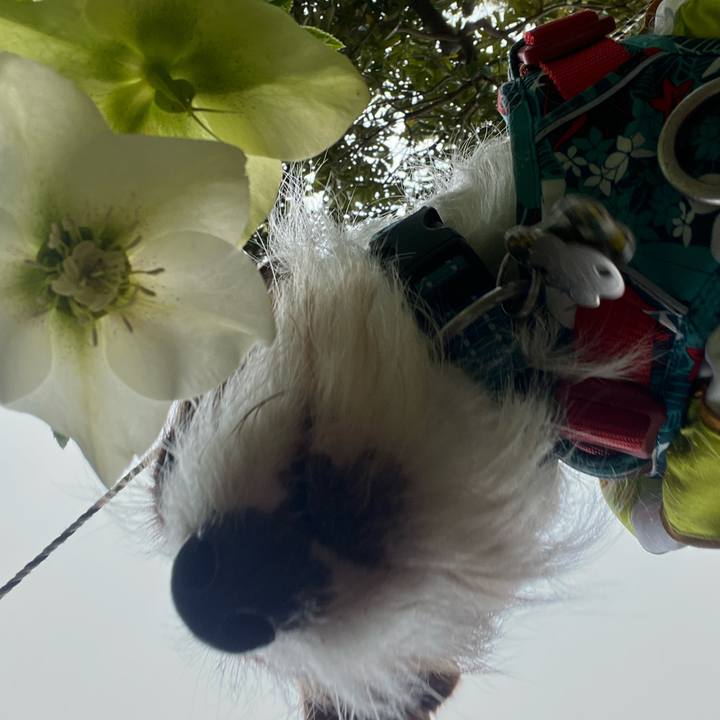 B5c89d6d e5a2 4c0d bdec bc5bc99bf2f2 1773412498922