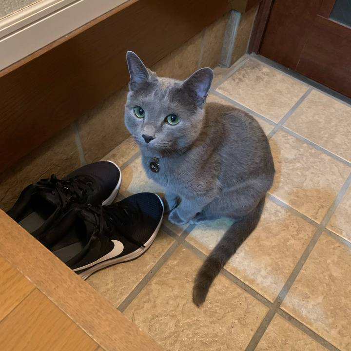 B5c8ebd5 6558 4597 a5b2 0abb103e1aa6 1649845786484