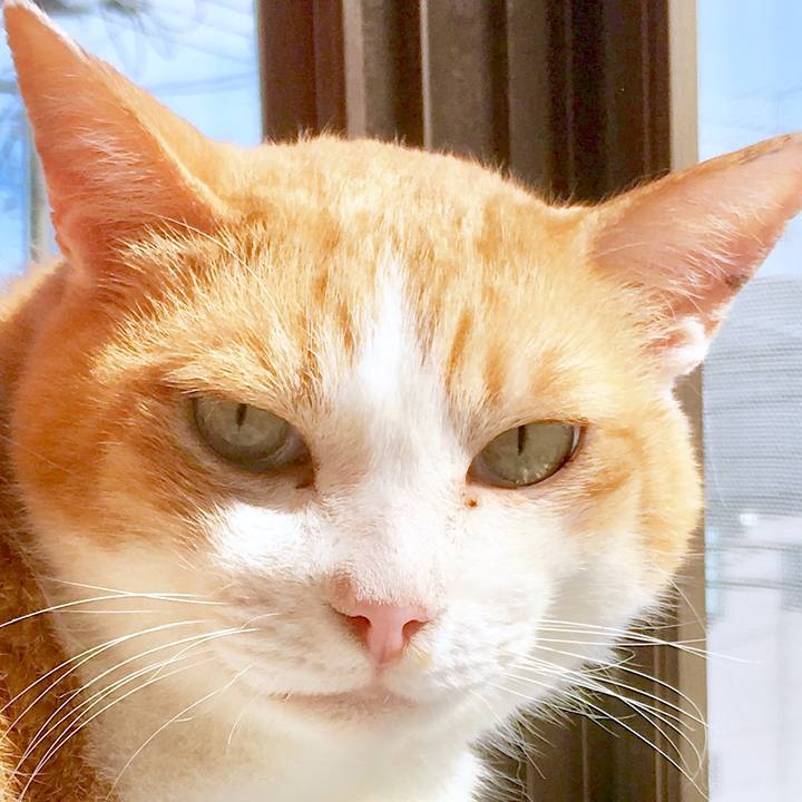 B5c906f7 55c6 4ccc a34c e0dad353afaf 1565668250374