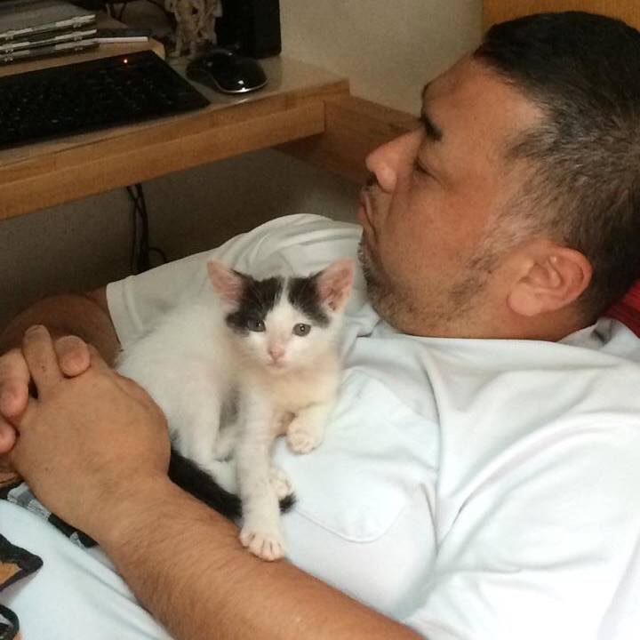 B5c910e9 9d12 4abe 9872 4f578914aff3 1534029851698