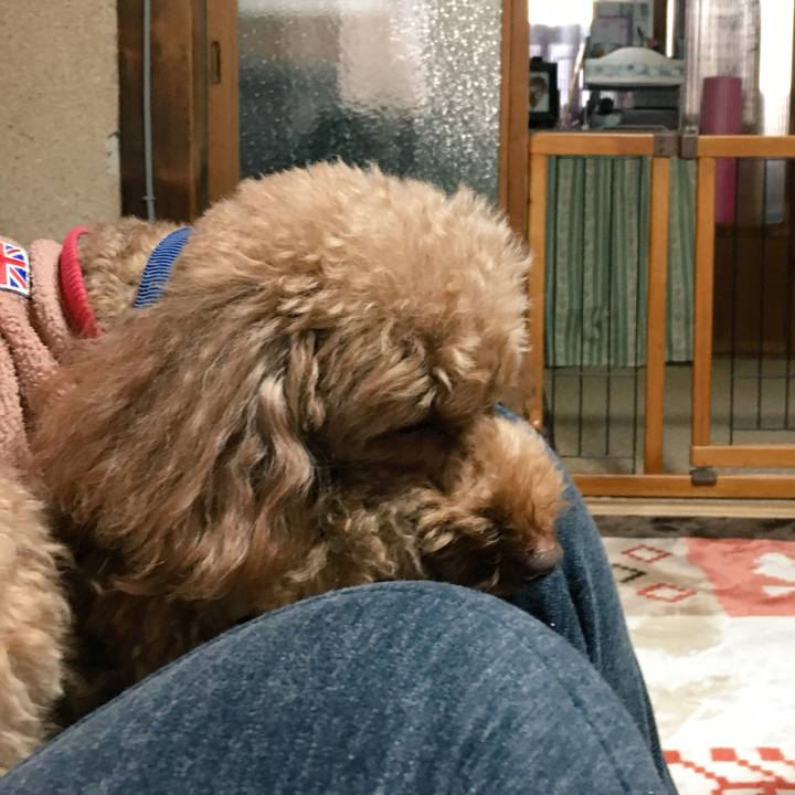 B5c919aa 3ec9 48b1 90b0 5491b1e7d2a8 1546150036696