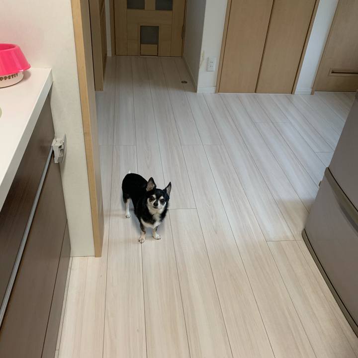 B5c924e0 1837 4869 a6d7 e21e5cc6b363 1588142492596