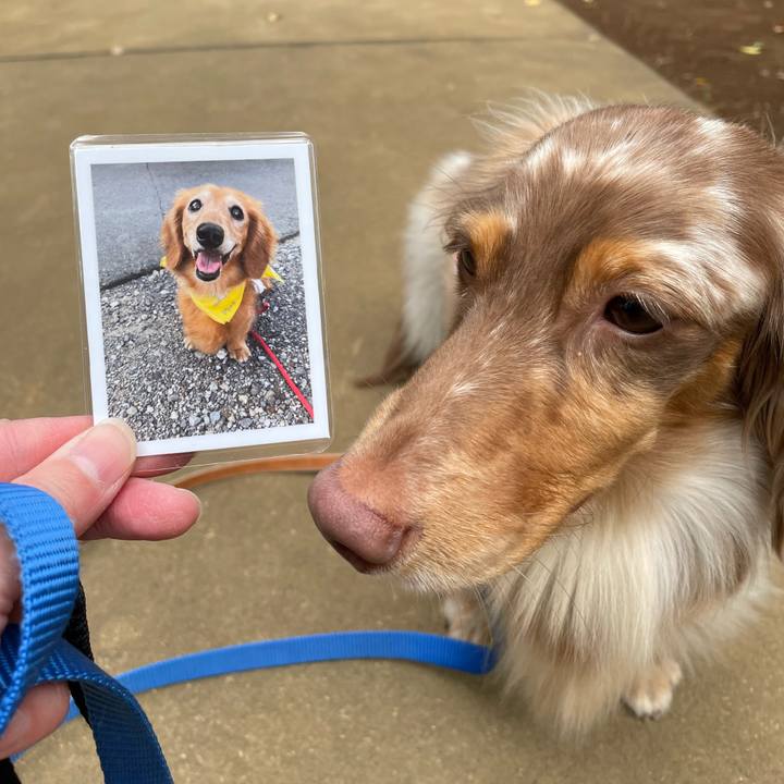 B5c926cd 046e 44c8 9b04 2a21e5c0ea2d 1761297434098