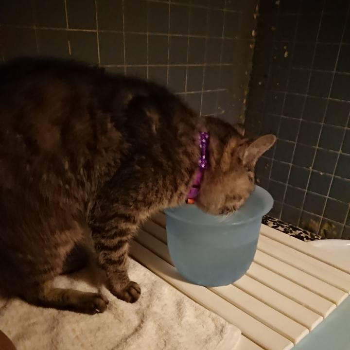 B5c92e57 712f 453b 8750 aabdc643b9d2 1585129944234