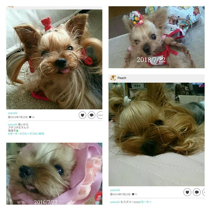 B5c96715 ce08 487d 9e9f 16e5f2f2af33 1532312001917