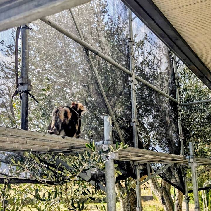 B5c969a1 1955 4dcf bb8b 7fba08bb0e1a 1770869385640