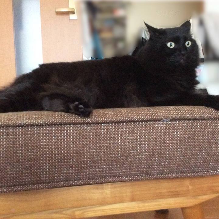 B5c9a870 a6ba 4418 b9ab 1cfce772c55e 1602470882349