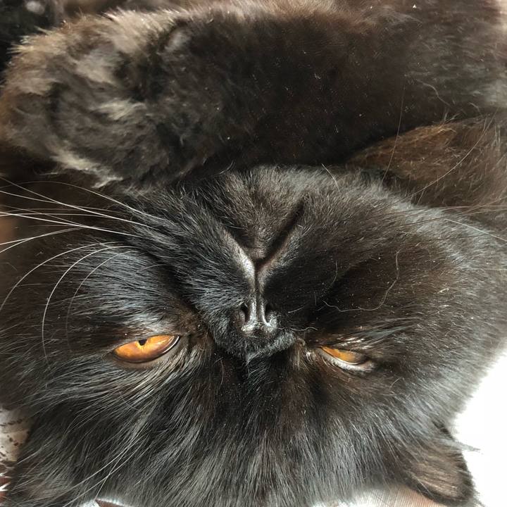 B5c9b44e b31e 4cc1 ac6f 90ec0fc9546d 1537807749533