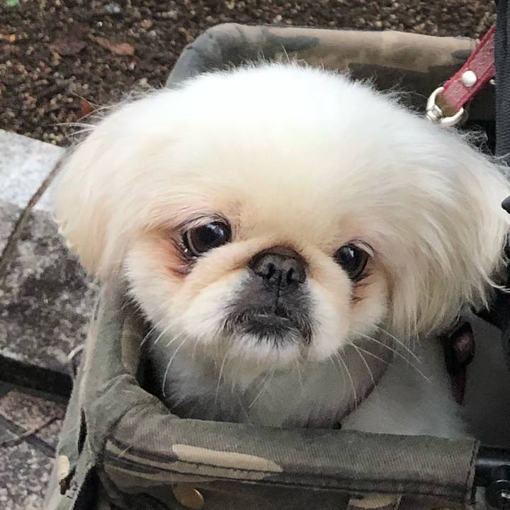 B5ca39b8 5ec9 42d5 abec 1538c587b1c6 1537481441686