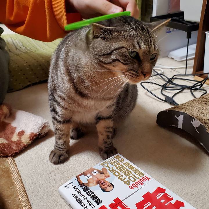 B5ca4e9e 4b5a 4c41 a150 614983d6f392 1716068270843