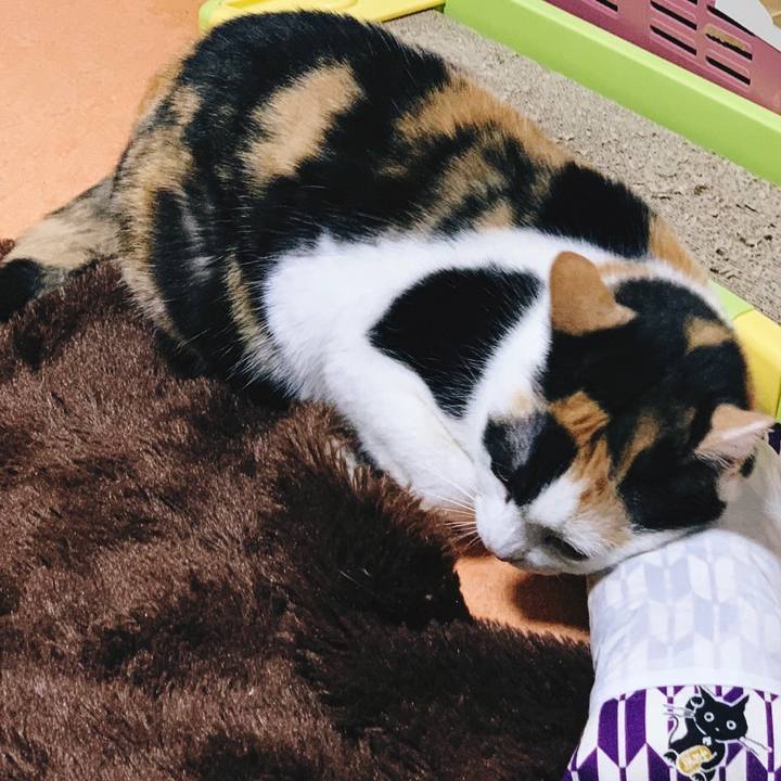 B5ca8e82 08b8 4c52 a065 62205028d2b7 1554434954289