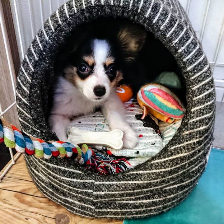 B5cac8cb d4ee 4af6 89cf 32fdcc66b7a6 1597327837828