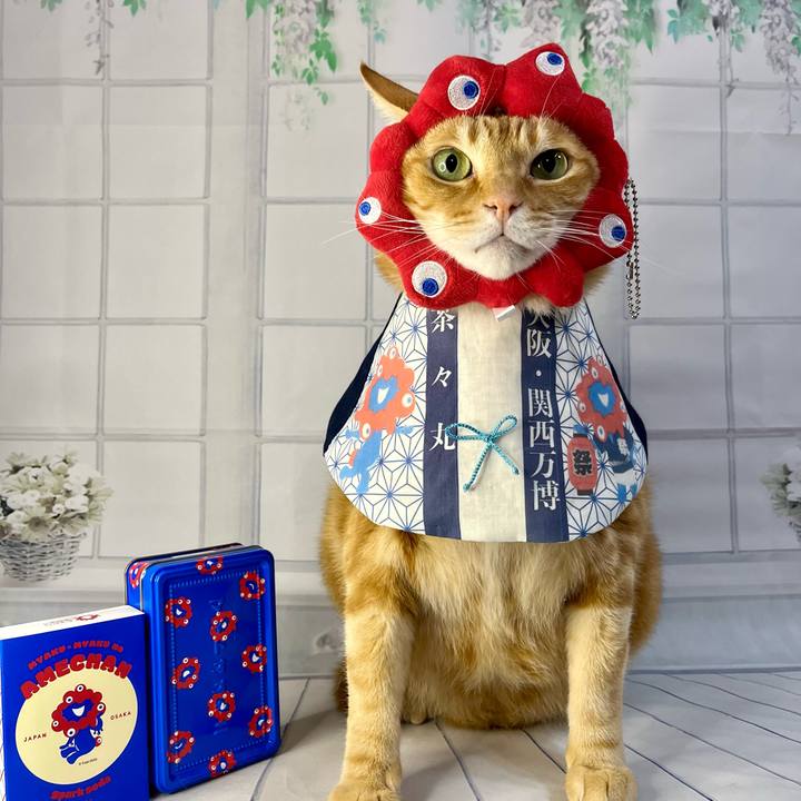 B5cb0ffb 7183 427b 82ce b26d11c440de 1745376219449