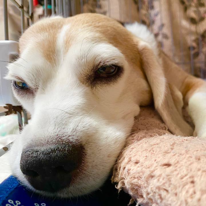 B5cb1c8b 1634 4494 885f ad9c064a9317 1598413435214