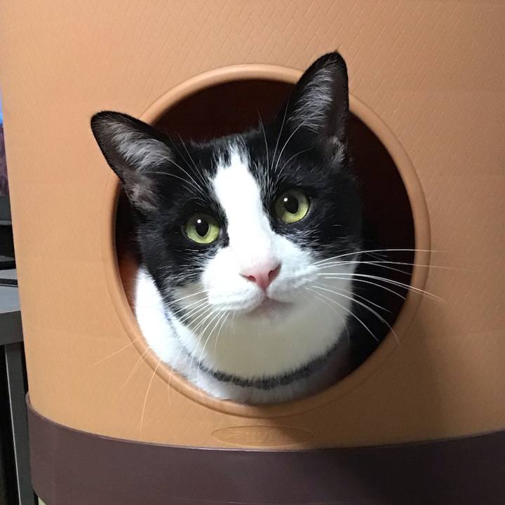 B5cb2803 ba04 4b78 8273 10013529afe0 1670760210153