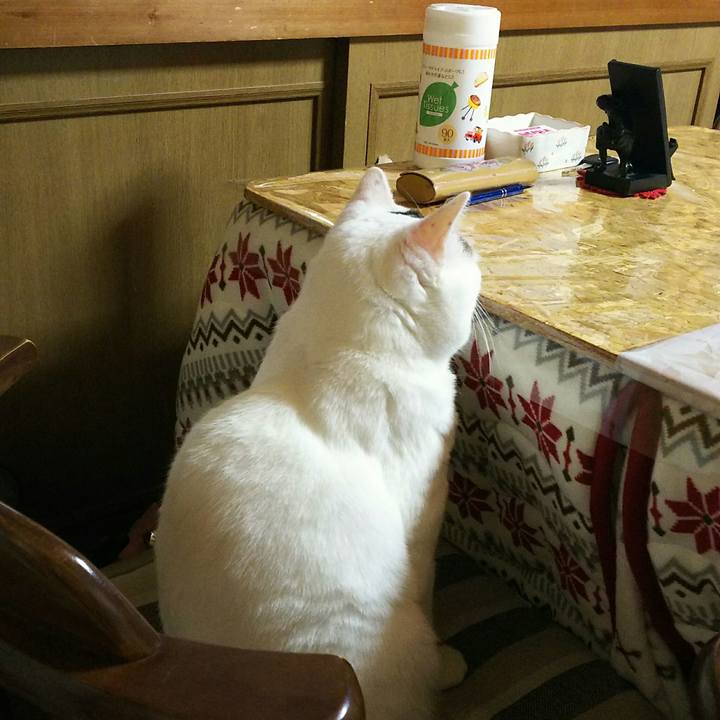 B5cb4b43 61a1 4a79 94bb 5602a7c82c38 1511794089435