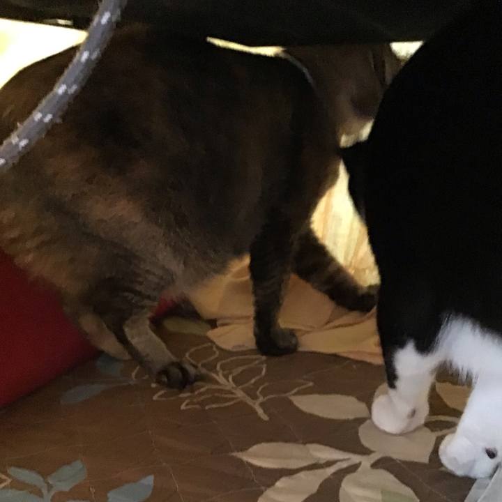 B5cb536b a224 473a aa7d 99a1b7786761 1686657256291