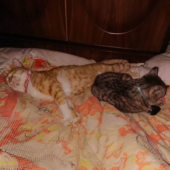 B5cb5604 5be8 4b2d a399 b6b23daa8fce 1570716873777