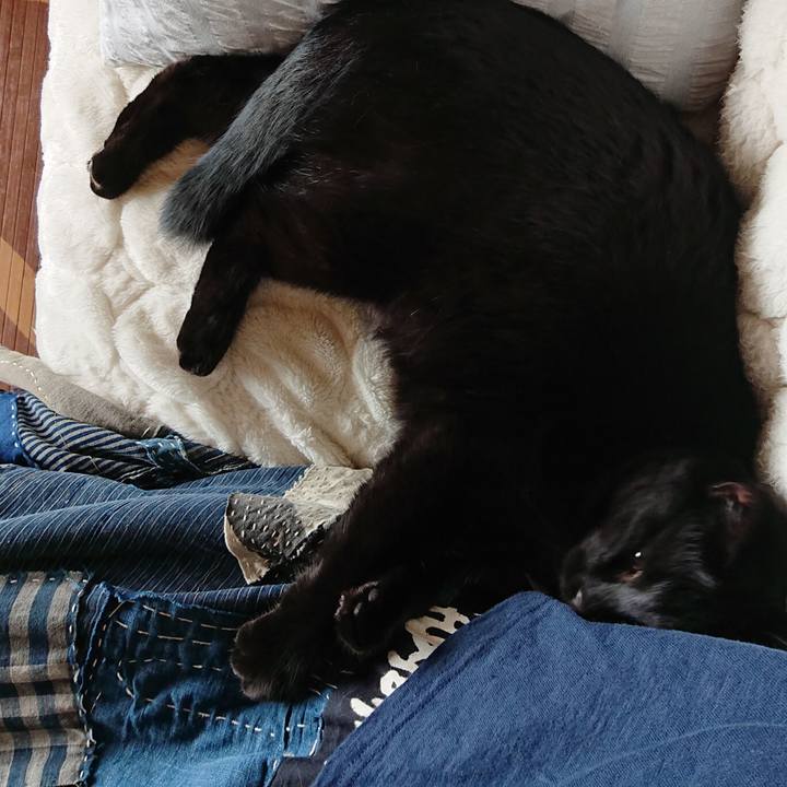 B5cb5811 bcf8 4567 8733 6d543f7946cb 1539488070241