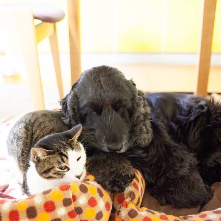 B5cb5a28 32c7 49d3 9a2d 72c7378df4eb 1550588991323