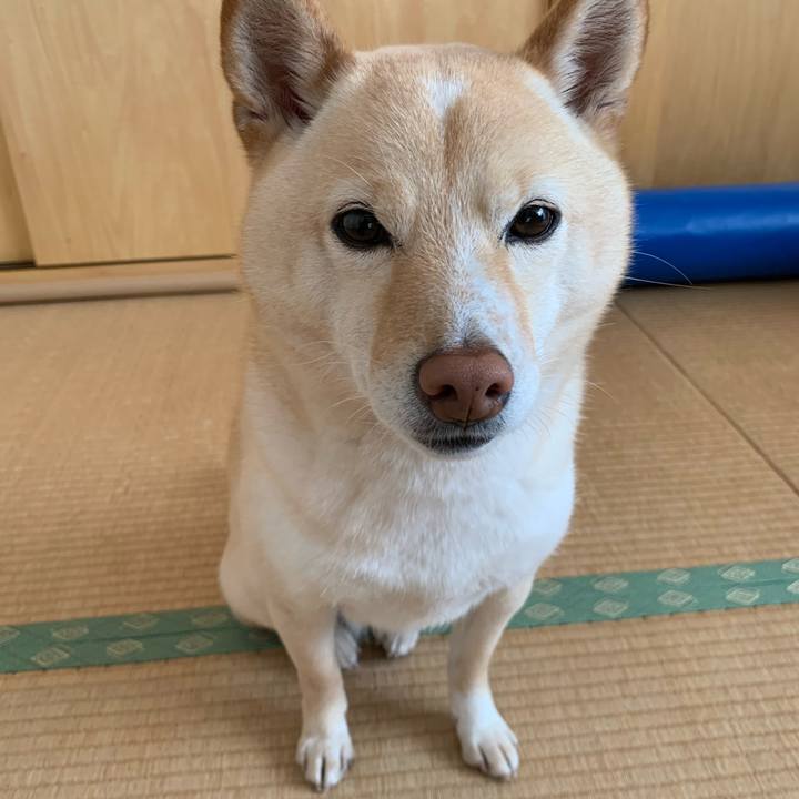 B5cb6c16 6c33 4220 b4f9 37bf01574ba8 1646002395147