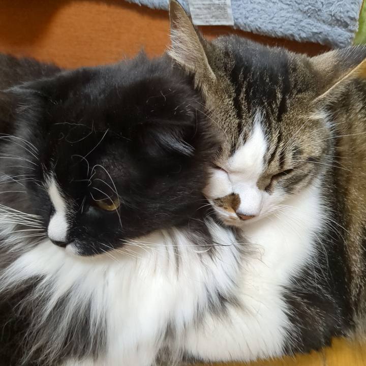 B5cb78ed 3989 4b1e 864a b0e4772301a5 1681863406682