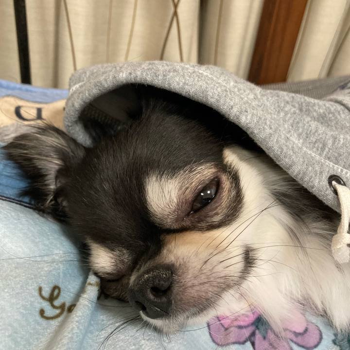 B5cba2cd f469 4ad9 b7a8 6dcb7af104d5 1641131742030