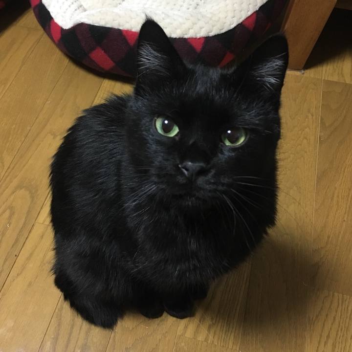 B5cbaa05 1e4f 488a bc07 f633252bd615 1542141945351