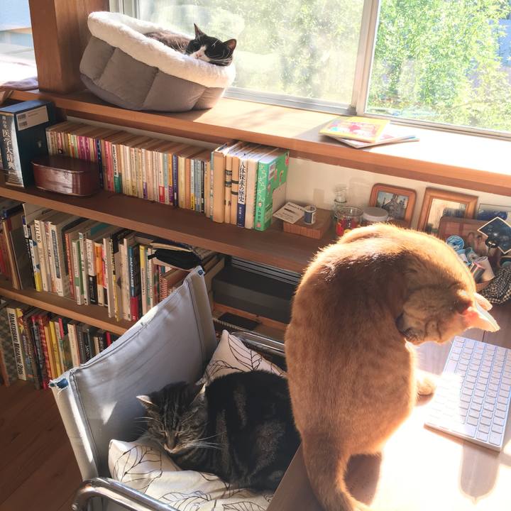 B5cbb5f0 548d 430f 965d daaef6d4ad51 1554076796251