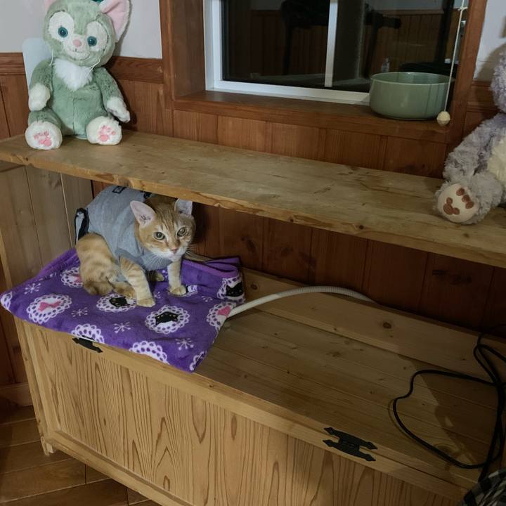 B5cc4a82 09e2 4046 8de4 27846641571b 1641911747273