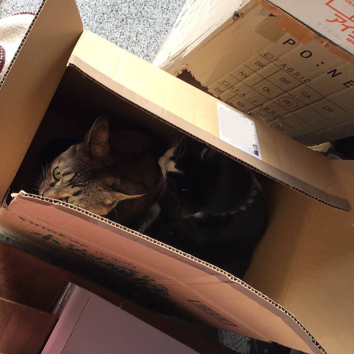 B5cc5a0f 2bf9 4a6c a759 841178ab737f 1640845079461