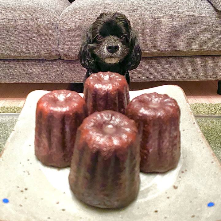 B5cc8178 b5af 48d0 8add c9d645230aed 1646795318524