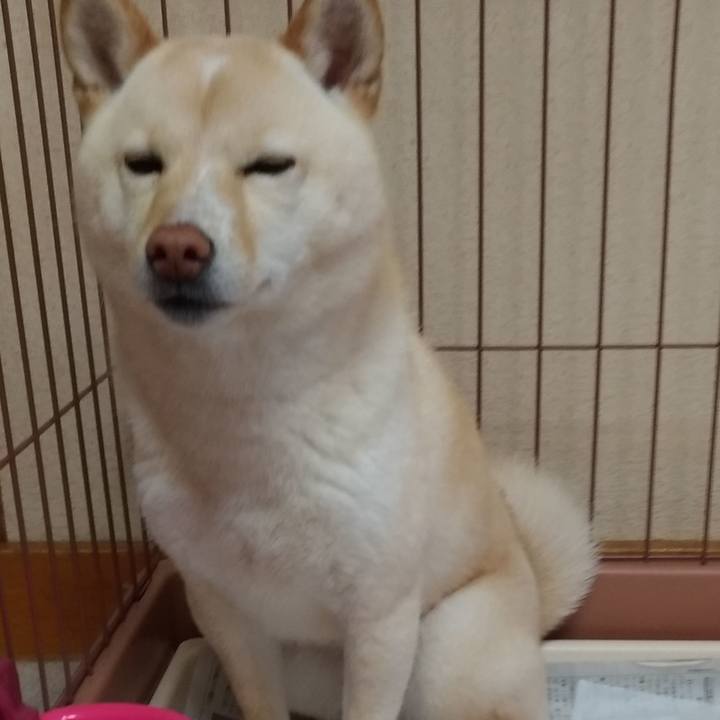 B5ccc24b 306b 4265 977d b60091d606b7 1551997614708